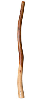 Wix Stix Didgeridoo (WS359)